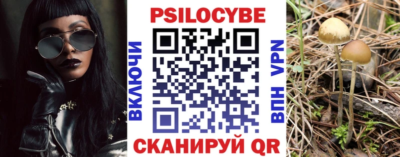 Псилоцибиновые грибы прущие грибы  магазин  наркотиков  блэк спрут   Суровикино 